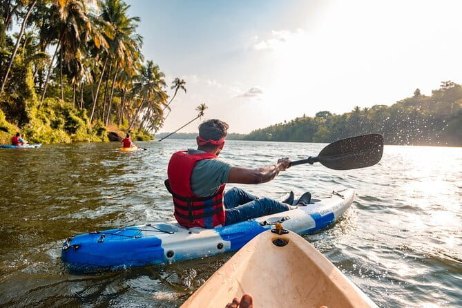 Backwater Kayaking Experience - Chapora River Kayaking: What Makes This Goa Trip Worth Your Time
