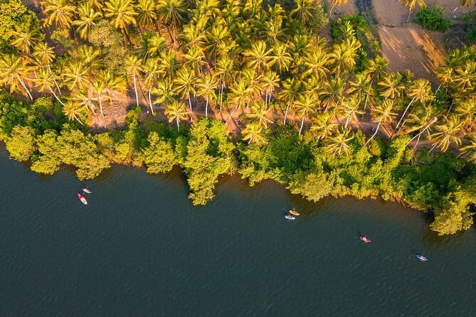 Backwater Kayaking Experience - What Happens During the 90 Minutes on the Water