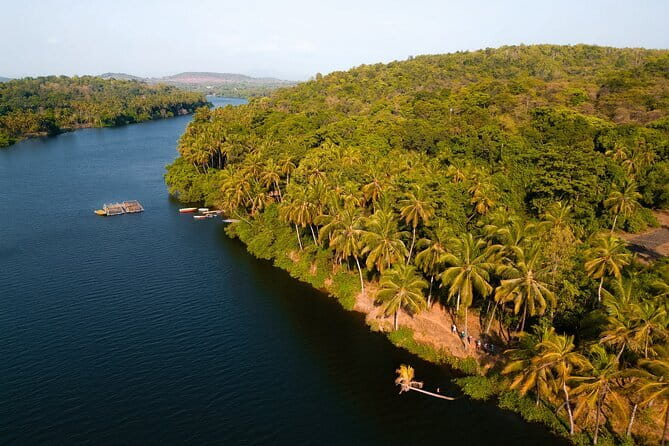 Backwater Kayaking Experience - Wildlife and Bird Spotting With a Realistic Pace