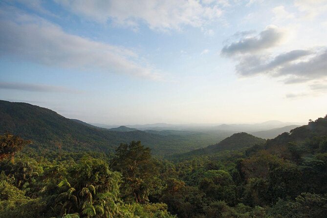 Day Trip to Mollem National Park Including Dudhsagar Falls and Jeep Safari from Goa - Why this Goa day trip feels different from beach plans
