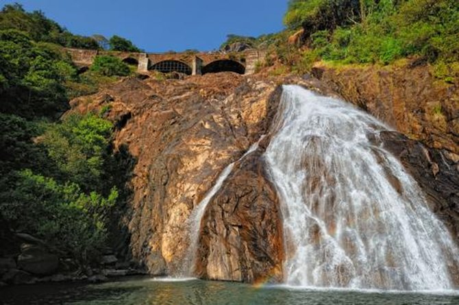 Day Trip to Mollem National Park Including Dudhsagar Falls and Jeep Safari from Goa - Dudhsagar Falls: swimming, a picnic break, and the viewpoint hike
