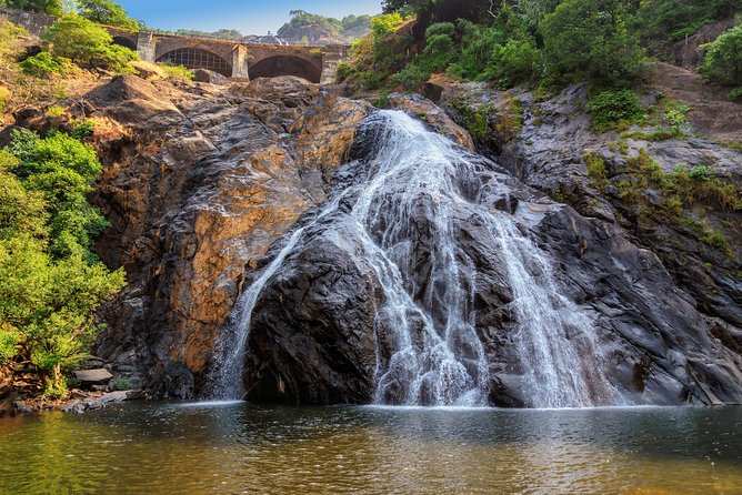 Day Trip to Mollem National Park Including Dudhsagar Falls and Jeep Safari from Goa - The shared Jeep safari: adventure, not just transportation
