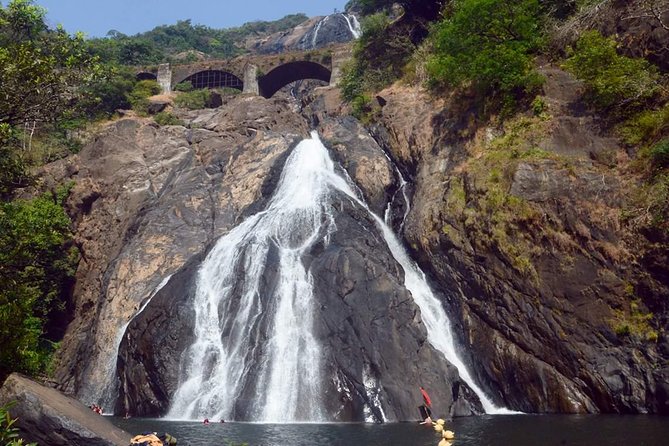 Day Trip to Mollem National Park Including Dudhsagar Falls and Jeep Safari from Goa - Lunch at the plantation: Goan buffet comfort after a wet morning