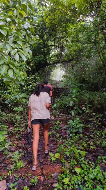 Divar Island Excursion with a Native Islander - Divar villages: temples, churches, chapels, and a hilltop panorama