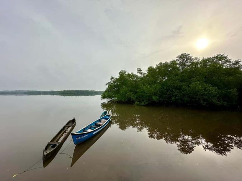 Divar Island Excursion with a Native Islander - Who Divar Island with native islanders is best for