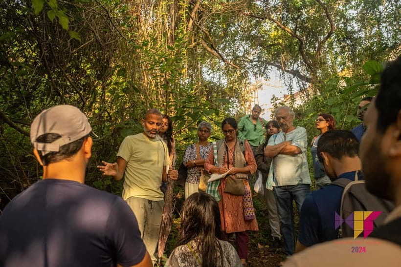 Divar Island Excursion with a Native Islander - Ferry to Divar Island and the mangrove walk for estuarial birds