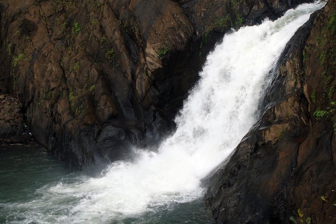 Dudhsagar waterfall wildlife & spice plantation Tour in Goa - Dudhsagar and spice in one outing: why this combo works