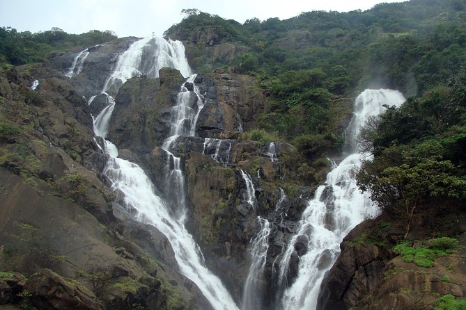 Dudhsagar waterfall wildlife & spice plantation Tour in Goa - Transportation, duration, and how to plan your day