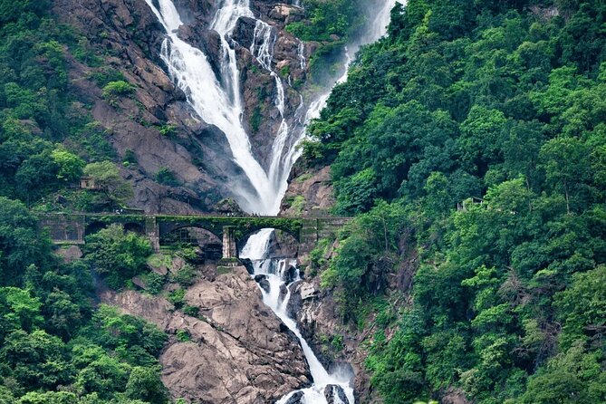 Dudhsagar Waterfalls, Jeep Safari & Spice Plantation private tour - How This 10-Hour Private Route Fits Goa’s Nature Day