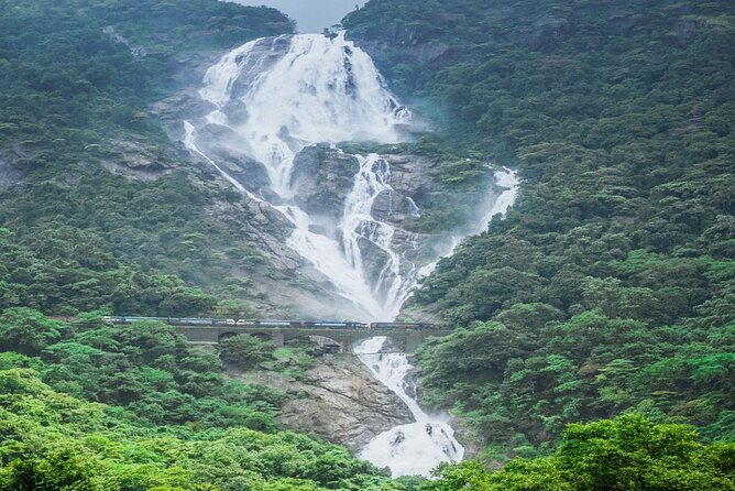 Dudhsagar Waterfalls, Jeep Safari & Spice Plantation private tour - Price and What’s Included: Is $76.37 Worth It?