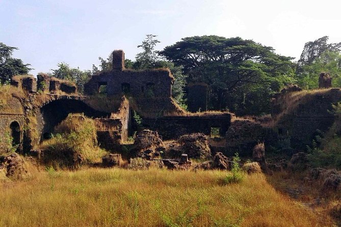 Explore Goa in a Nutshell - Logistics That Matter (So You Can Enjoy the Day)
