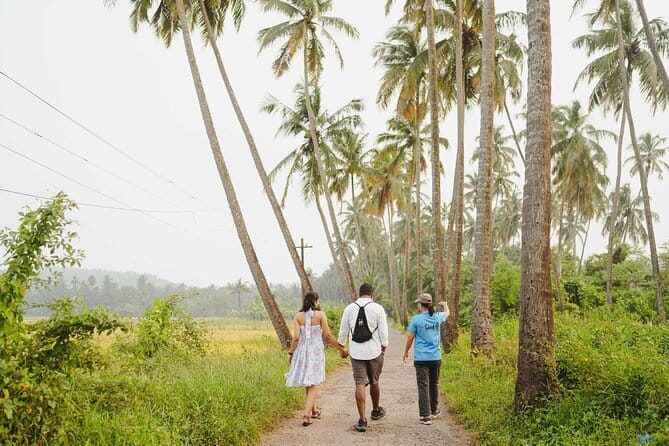 Explore The South Goa Full-Day City Sightseeing Tour - Tropical Spice Plantation: guided spice tour plus a lunch ticket you control