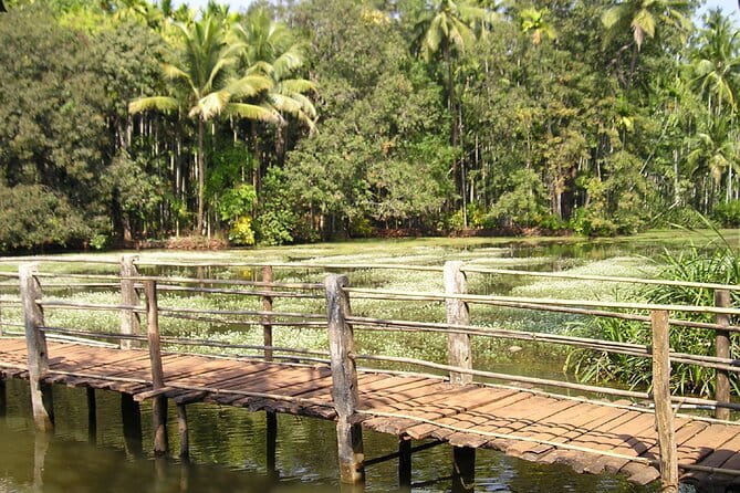 Explore The South Goa Full-Day City Sightseeing Tour - Panjim’s walking loop: church, Fontainhas, and a quick break