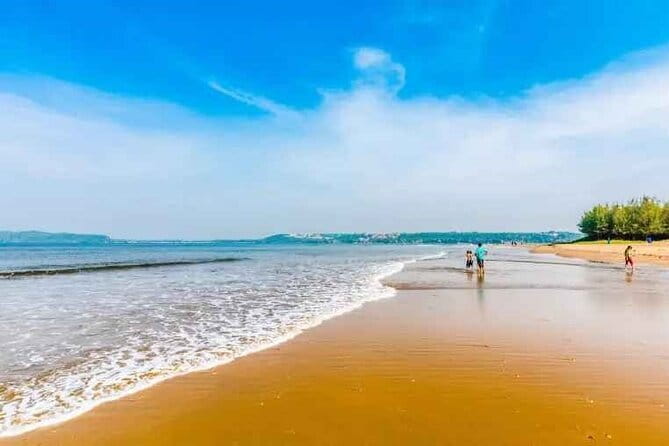 Explore The South Goa Full-Day City Sightseeing Tour - Panjim Market: a simple shopping and culture stop