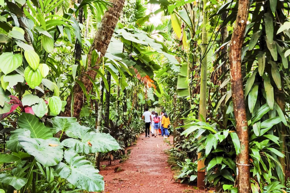 From Goa: Dudhsagar Waterfalls & Plantation Tour - Simple packing list (so the day stays fun)
