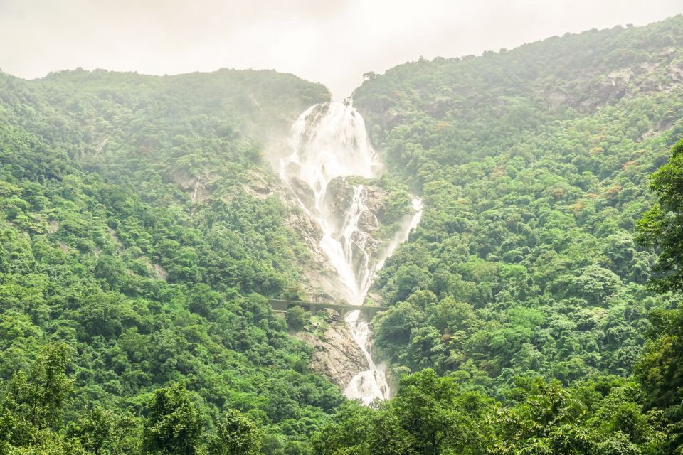 From Goa: Dudhsagar Waterfalls & Plantation Tour - Dudhsagar: The Sea of Milk and why the jeep matters