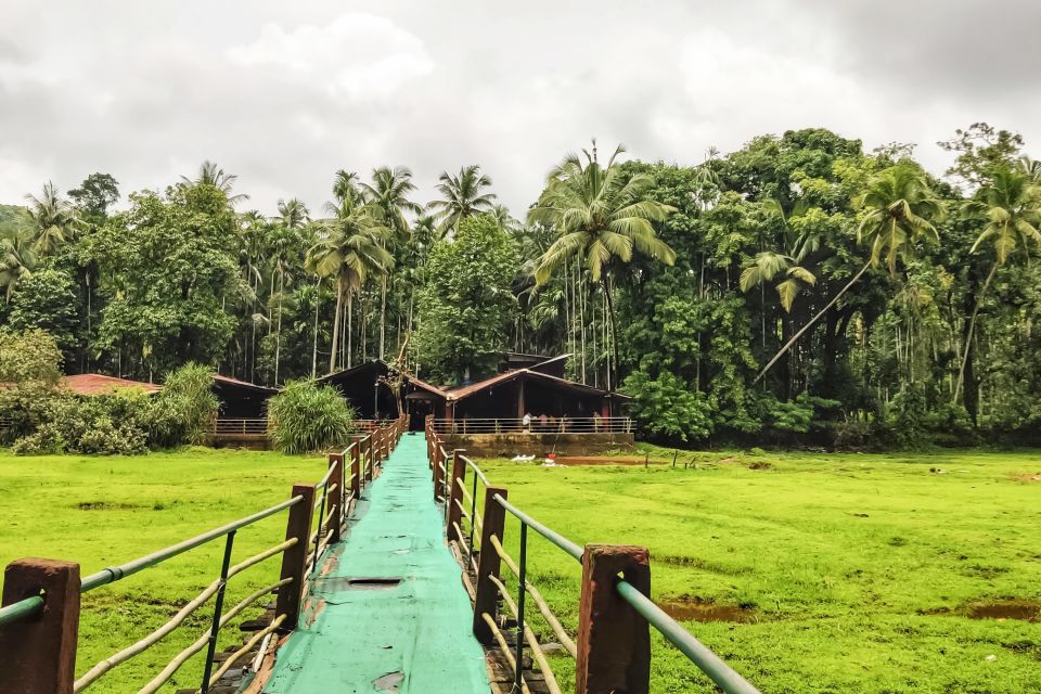 From Goa: Dudhsagar Waterfalls & Plantation Tour - Your hour at Dudhsagar: how to make the most of the base-area time