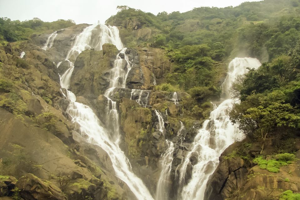 From Goa: Dudhsagar Waterfalls & Plantation Tour - Lunch at the plantation: included buffet, but manage spice expectations