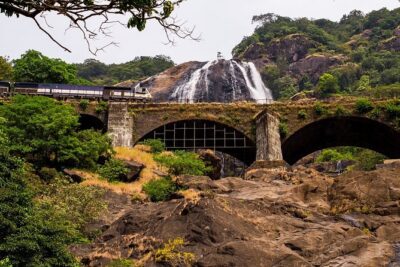 Full-Day Tour Old Goa Dudhsagar Falls and Spice Plantation - Mollem National Park Jeep Safari: Jeep Energy, Wildlife Chances