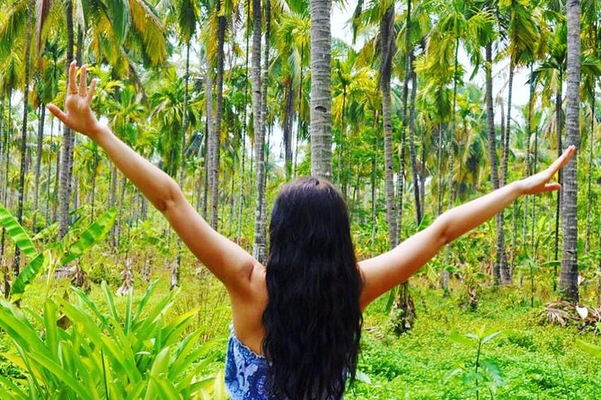 Full-Day Tour Old Goa Dudhsagar Falls and Spice Plantation - Who This Tour Fits Best (and Who Should Rethink)