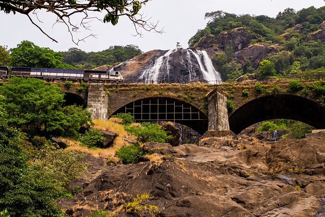 Full-Day Tour Old Goa Dudhsagar Falls and Spice Plantation - Mollem National Park Jeep Safari: Jeep Energy, Wildlife Chances