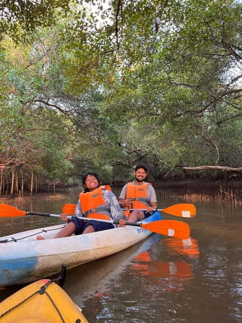 Goa: Backwater Kayaking Tour - The wildlife spotting strategy (so you actually see things)