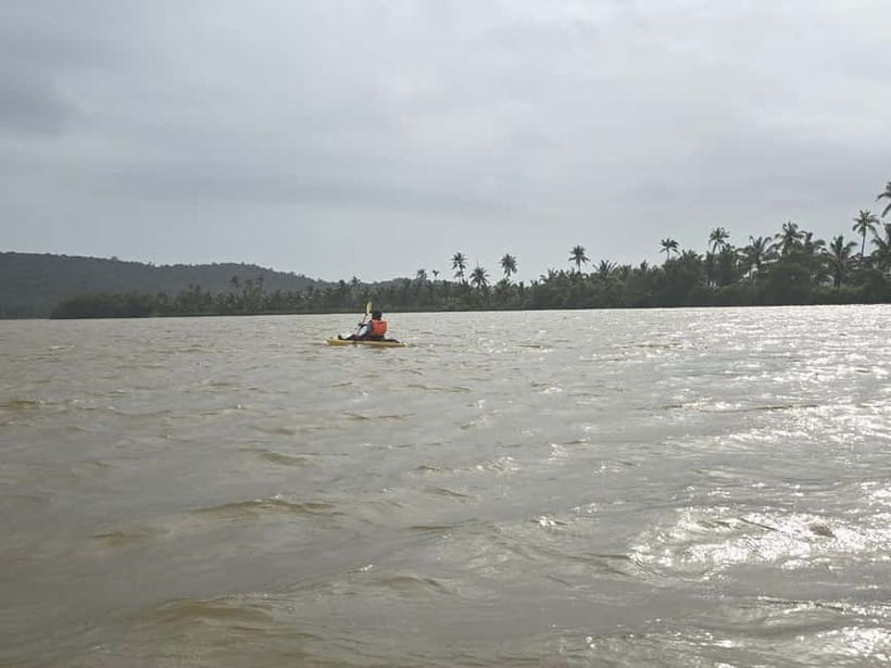 Goa: Backwater Kayaking Tour - Snacks on the river: the quick reset you’ll appreciate