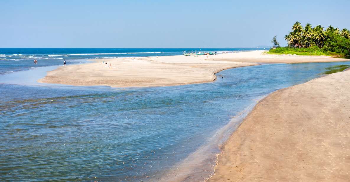 Goa: Beautiful Goa Beach Tour - Ashwem Beach Reset: More Quiet Sand and Seafood Shack Energy