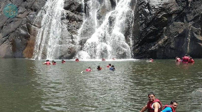 Goa: Dudhsagar Waterfall, Jeep Safari and Spice Plantation - Key takeaways before you go