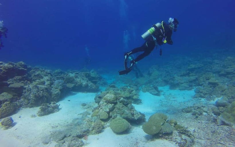 Goa: Grand Island Water Sports Combo Adventure - Pickup from Arpora, Baga, Candolim, and Calangute: the bus part matters