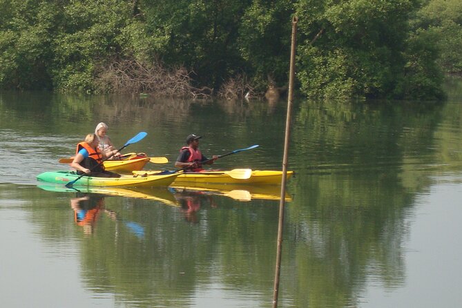 Goa Kayaking Spike's Salonia Backwaters Kayaking Experience - Entering the Salonia backwaters: what 90 minutes looks like