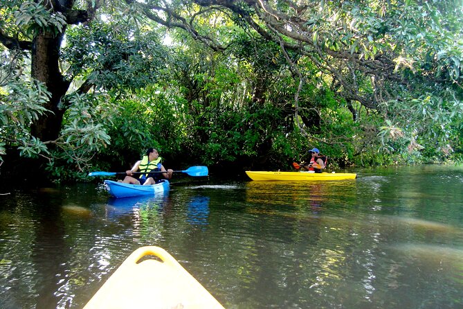 Goa Kayaking Spike's Salonia Backwaters Kayaking Experience - Wildlife spotting in North Goa: peacocks and bird life
