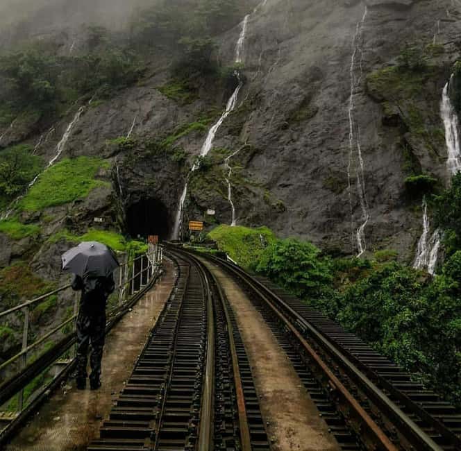 Goa: SIC Dudhsagar Waterfall and Spice Plantation Day Tour - Key things to know before you go