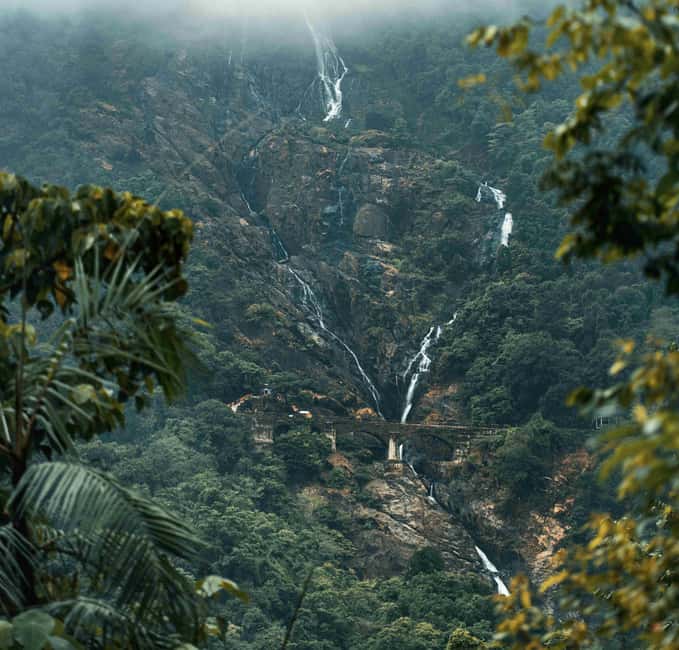Goa: SIC Dudhsagar Waterfall and Spice Plantation Day Tour - Tropical spice plantation: what you’ll learn and the shop moment