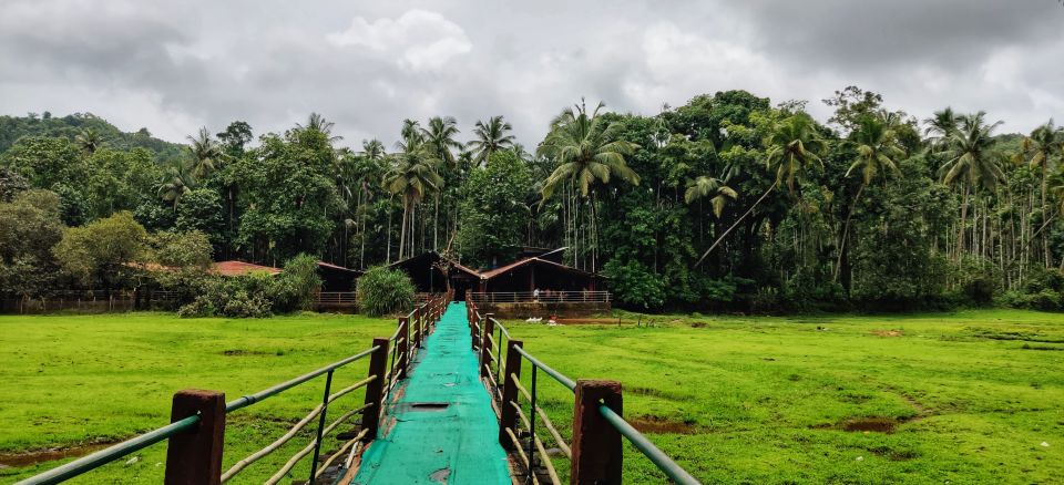 Goa: Spice Plantation Tour and Traditional Local Lunch - Key things you’ll notice right away