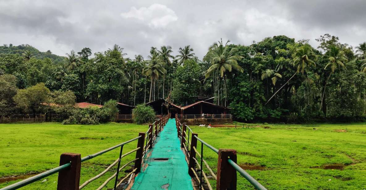 Goa: Spice Plantation Tour and Traditional Local Lunch - A four-hour reset in Ponda, away from beach noise