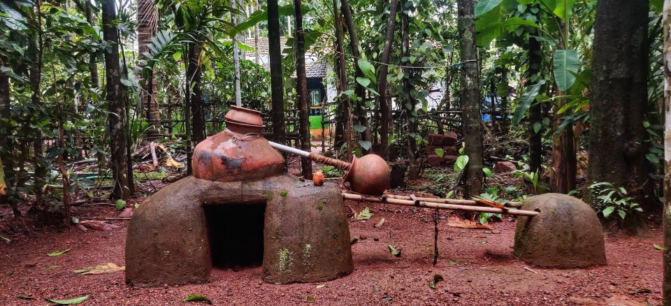 Goa: Spice Plantation Tour and Traditional Local Lunch - The walking tour: what you’ll do and how long it can feel