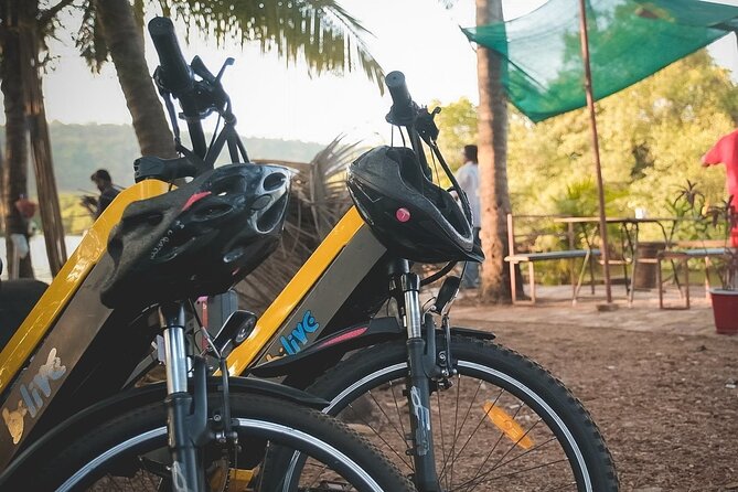 Island Hopping: Day E-Bike Exploration - The Guide Factor: Riyaz, Explanations, and Backup Support