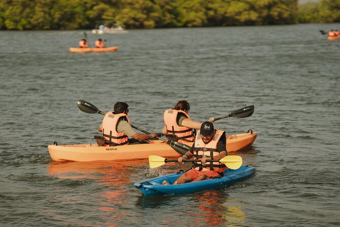 Kayaking At Private Island In Goa - Sunset kayaking on the Chapora River: what to expect on the water