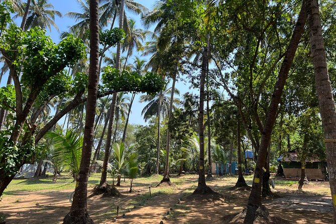 Kayaking At Private Island In Goa - Snacks, tea, and the little included extras that actually help