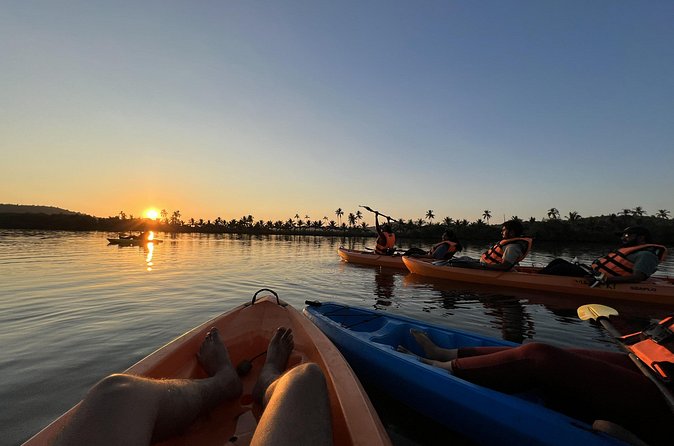 Kayaking At Private Island In Goa - Who should book this, and who might want a different day