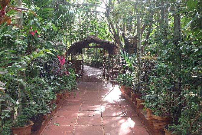 Old Goa Churches, Temples & Spice Plantation With "Goan" Lunch - Tropical Spice Plantation: lunch in greenery, not a rushed buffet line