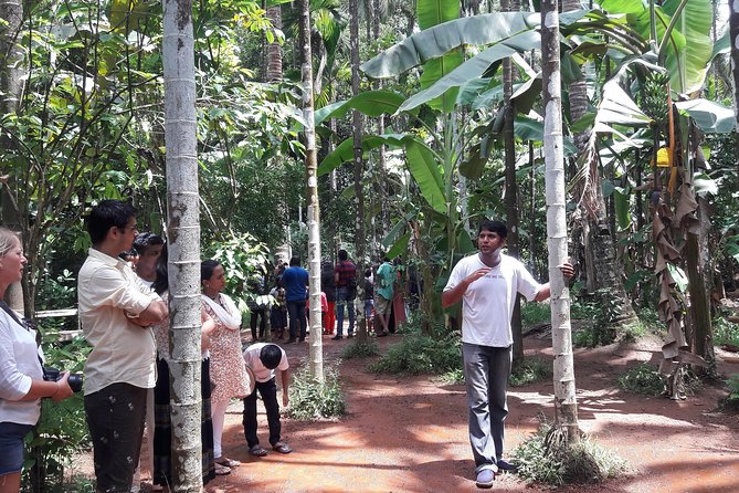 Old Goa Churches, Temples & Spice Plantation With "Goan" Lunch - Hotel pickup, free entry notes, and what’s actually included